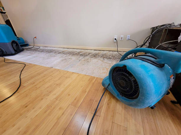 Professional Flood Damage Cleanup technician working in Saint Paul, MN